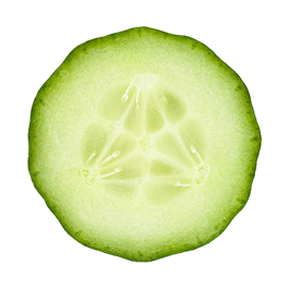 Cucumber